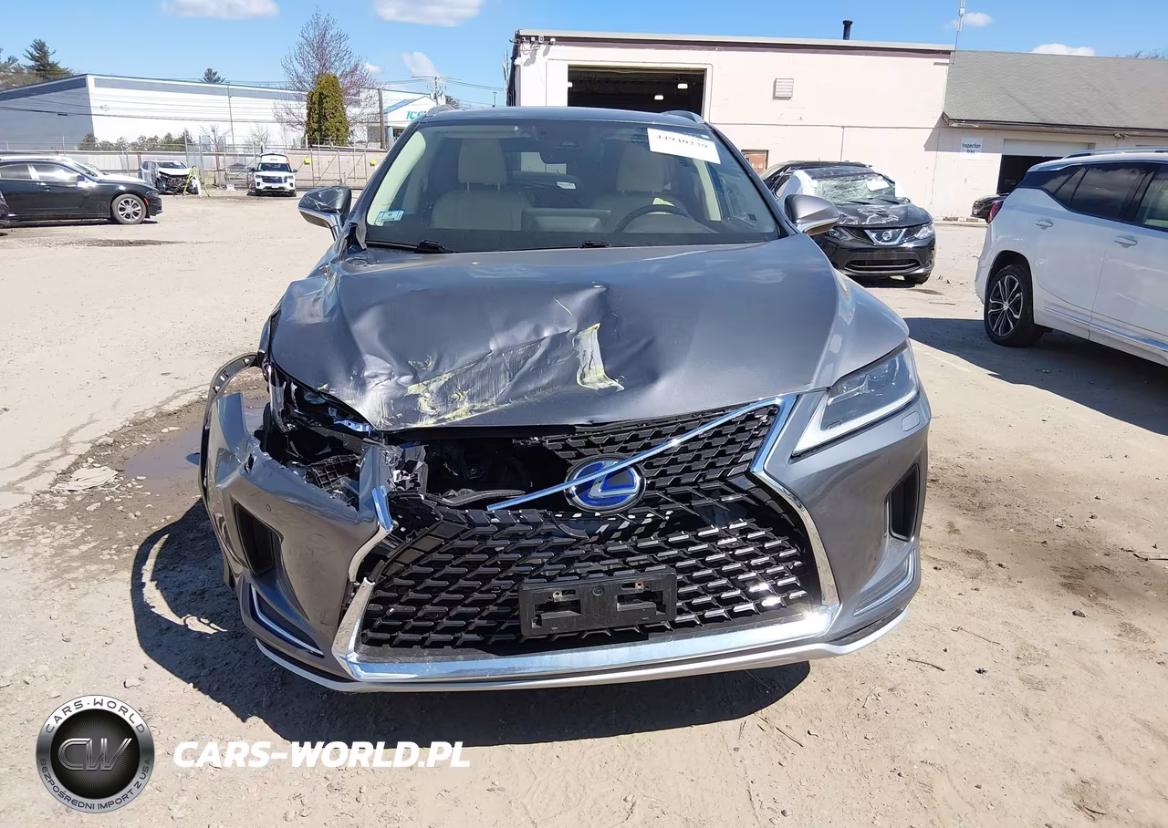 2020 Lexus Rx 450Hl Luxury VIN:JTJJGKFA5L2010007 - 12