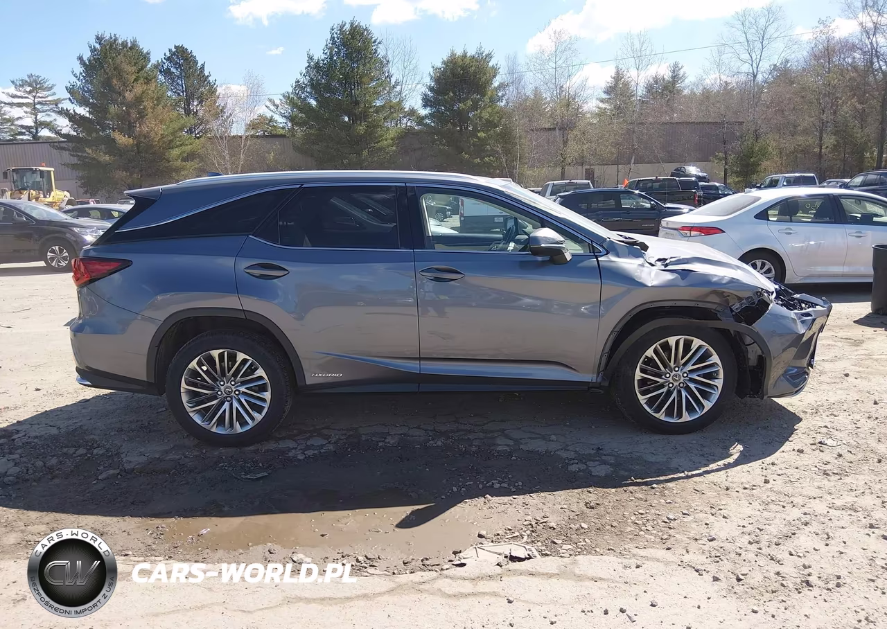 2020 Lexus Rx 450Hl Luxury VIN:JTJJGKFA5L2010007 - 13