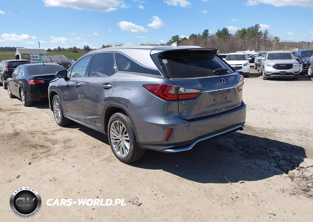 2020 Lexus Rx 450Hl Luxury VIN:JTJJGKFA5L2010007 - 3