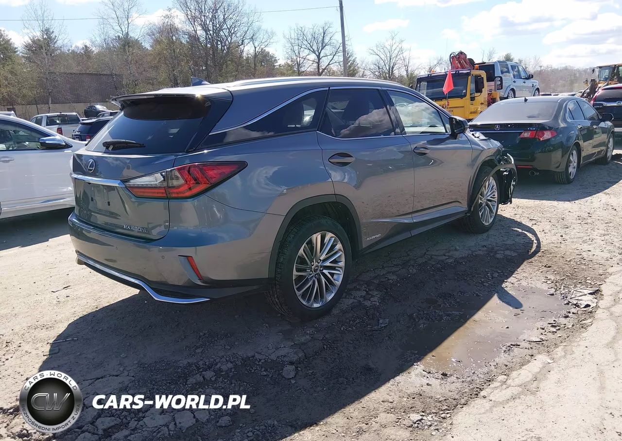 2020 Lexus Rx 450Hl Luxury VIN:JTJJGKFA5L2010007 - 4