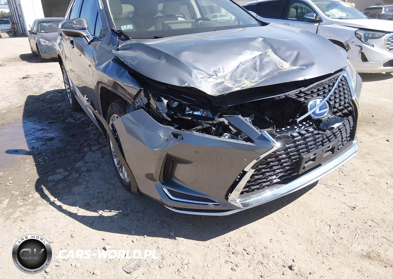 2020 Lexus Rx 450Hl Luxury VIN:JTJJGKFA5L2010007 - 6