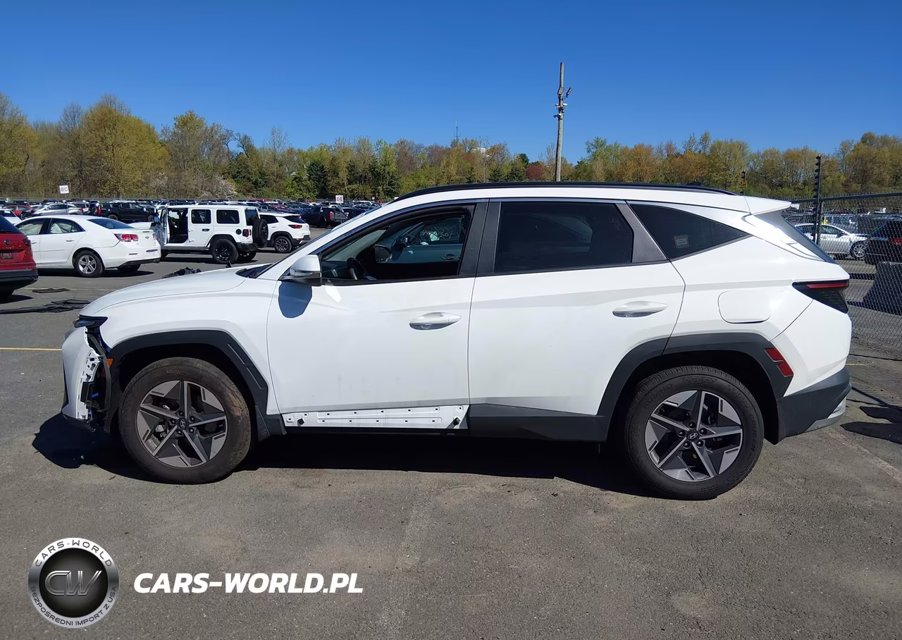 2025 Hyundai Tucson Sel Convenience VIN:5NMJCCDE2SH579983 - 13