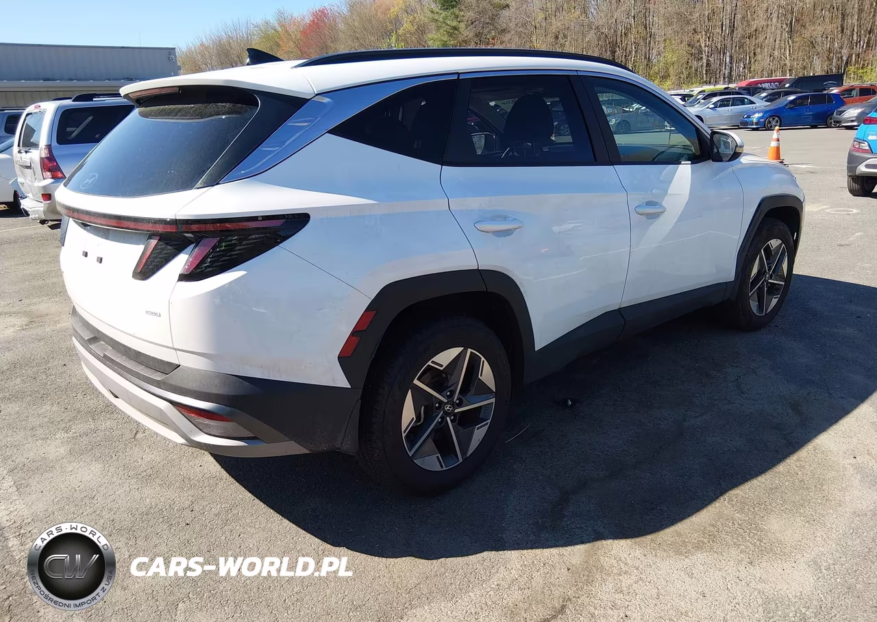 2025 Hyundai Tucson Sel Convenience VIN:5NMJCCDE2SH579983 - 4