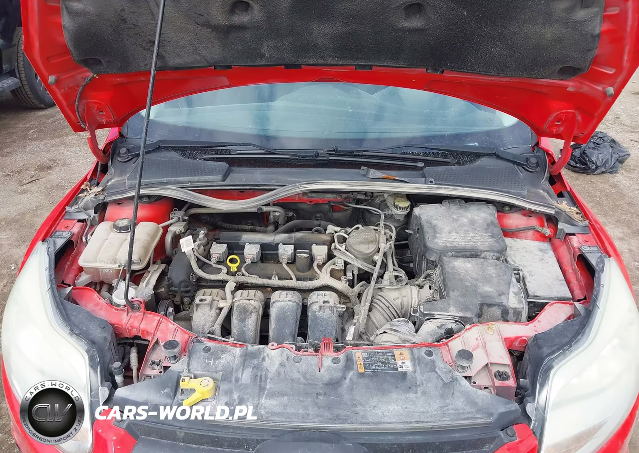 2014 Ford Focus Se VIN:1FADP3K28EL404463 - 10