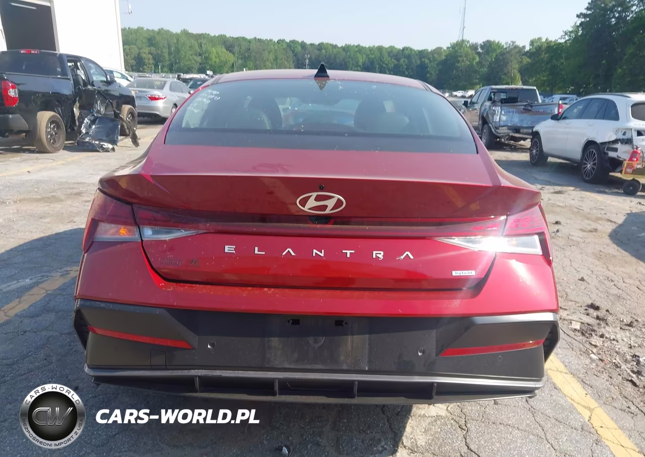 2024 Hyundai Elantra Hybrid Limited VIN:KMHLN4DJ6RU096873 - 17