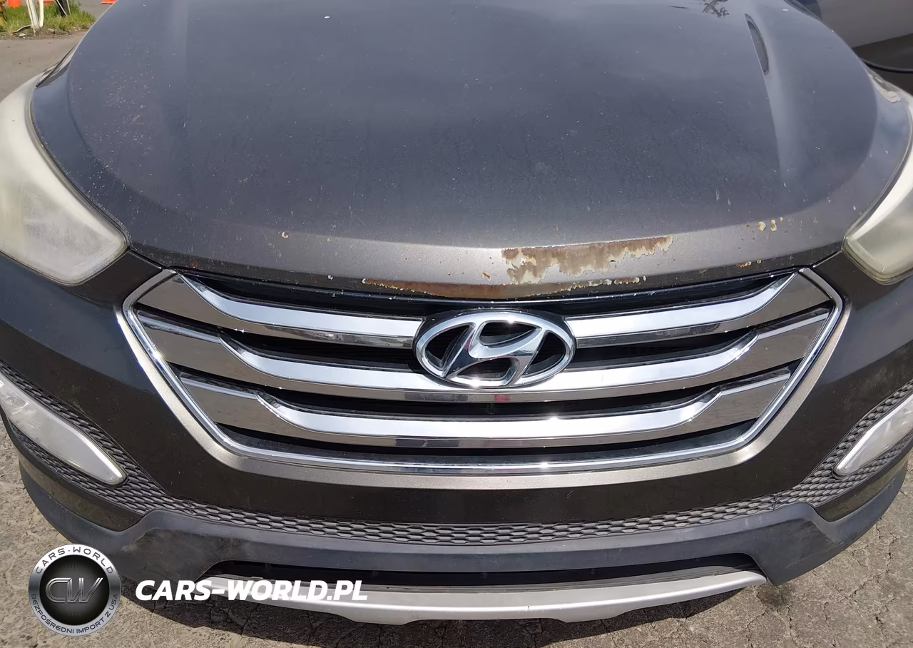 2014 Hyundai Santa Fe Sport 2.0L Turbo VIN:5XYZU3LA3EG204875 - 6