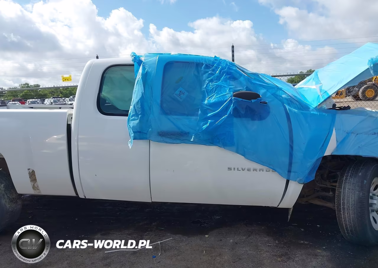 2010 Chevrolet Silverado 1500 Work Truck VIN:1GCSCPEX5AZ137351 - 13