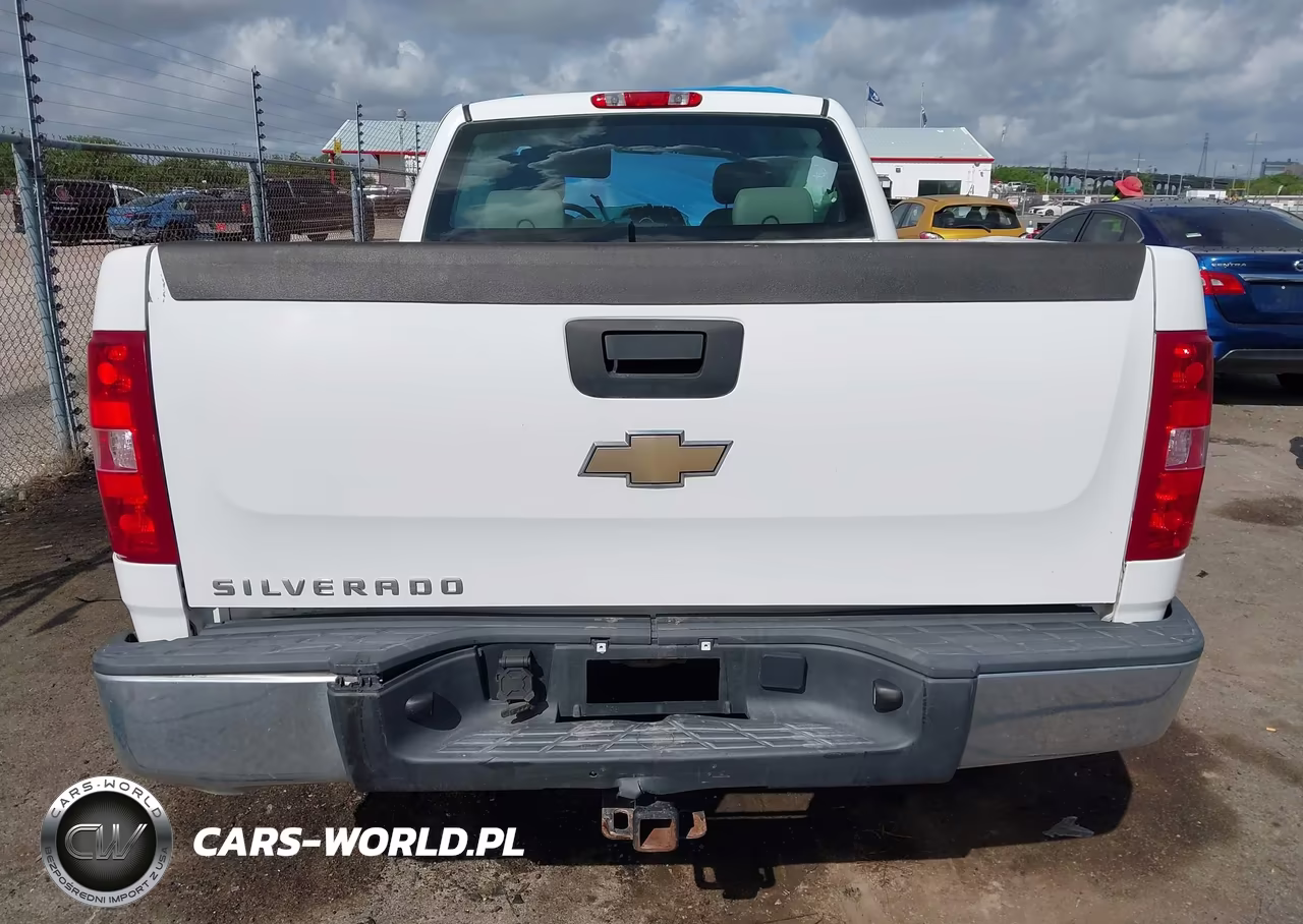 2010 Chevrolet Silverado 1500 Work Truck VIN:1GCSCPEX5AZ137351 - 16