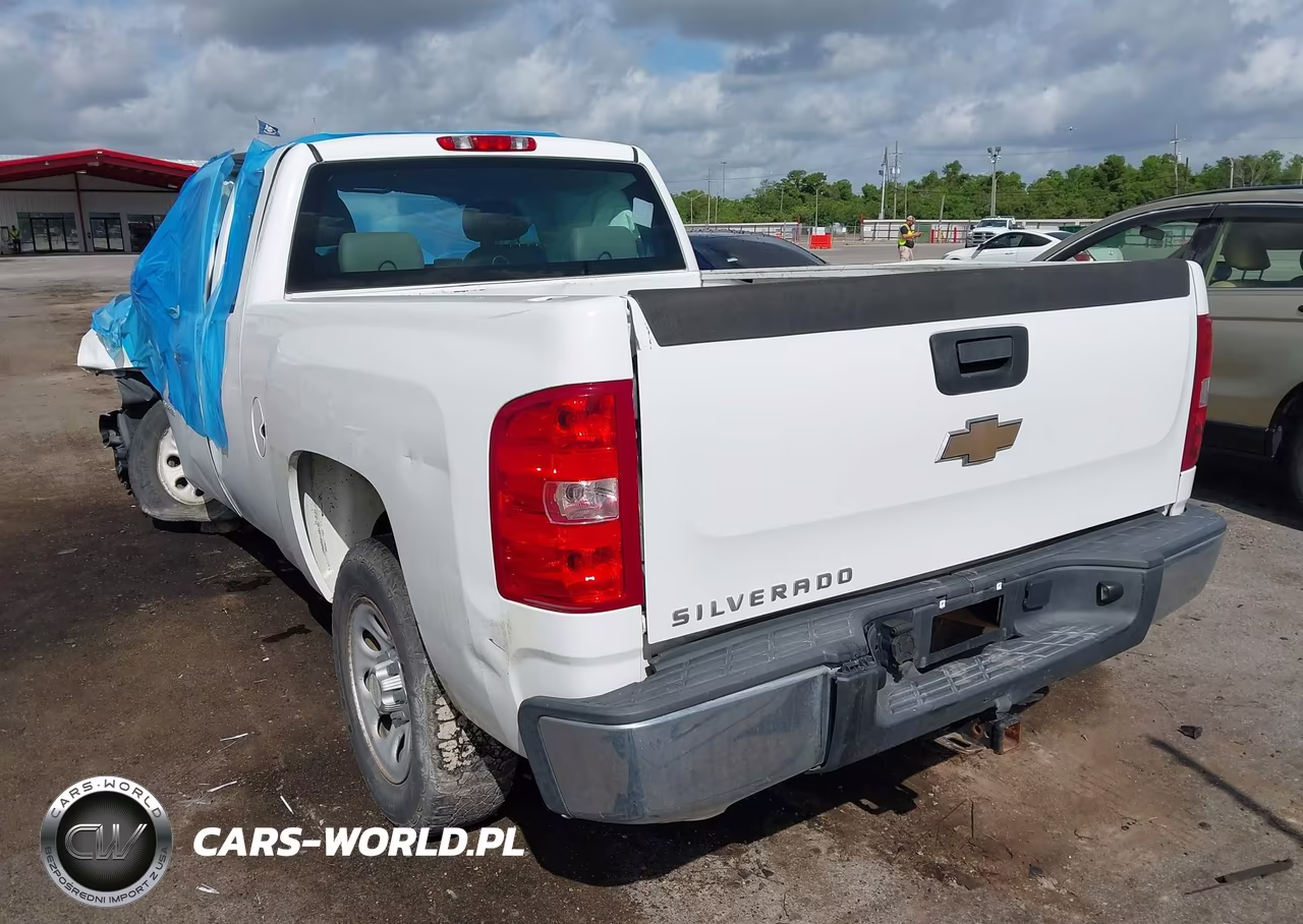 2010 Chevrolet Silverado 1500 Work Truck VIN:1GCSCPEX5AZ137351 - 3