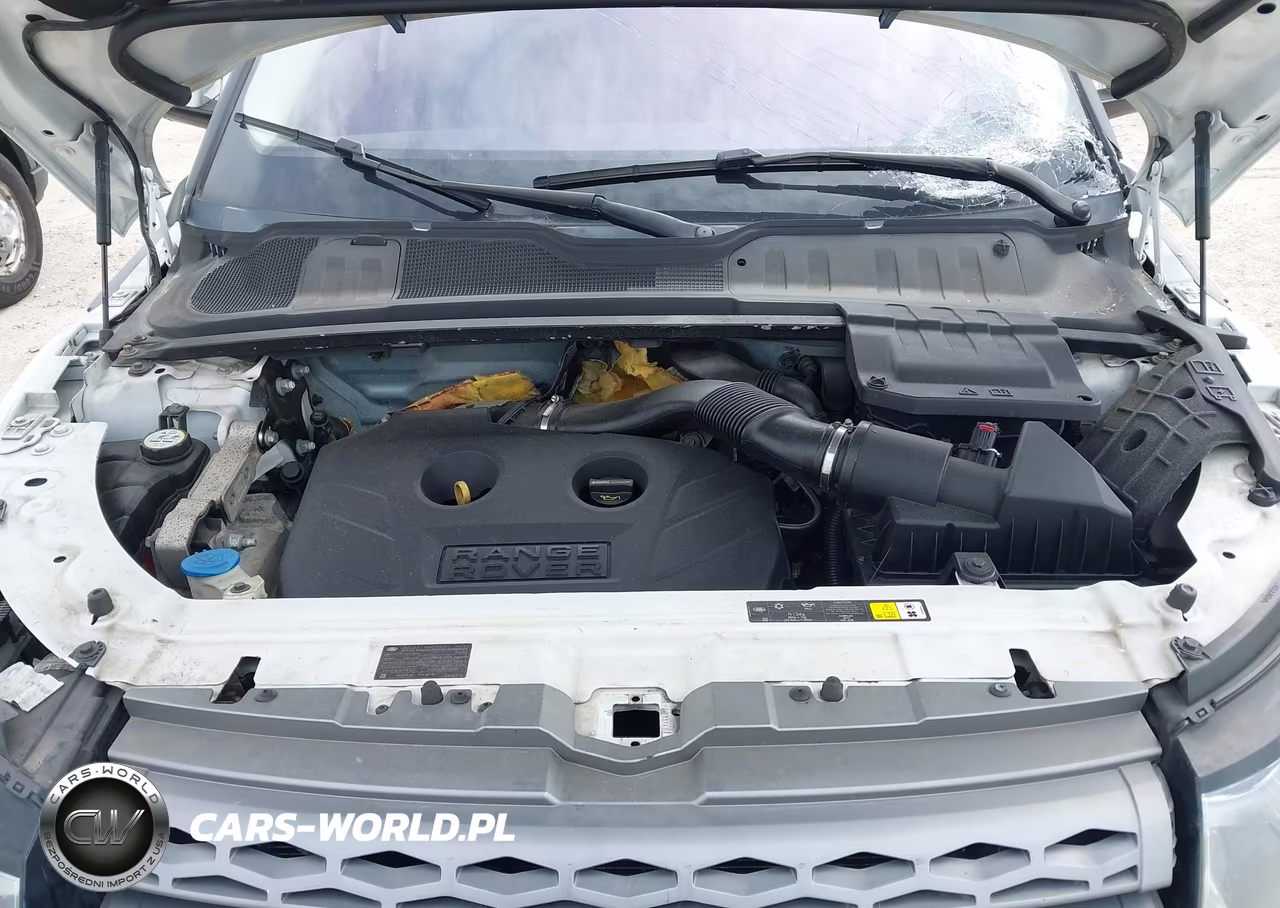 2013 Land Rover Range Rover Evoque Pure VIN:SALVN2BGXDH846231 - 10