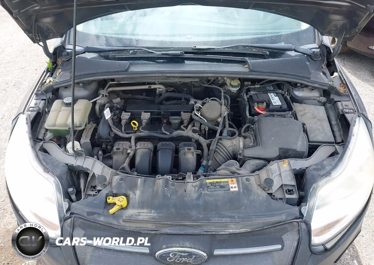 2013 Ford Focus Se VIN:1FADP3F21DL253748 - 10