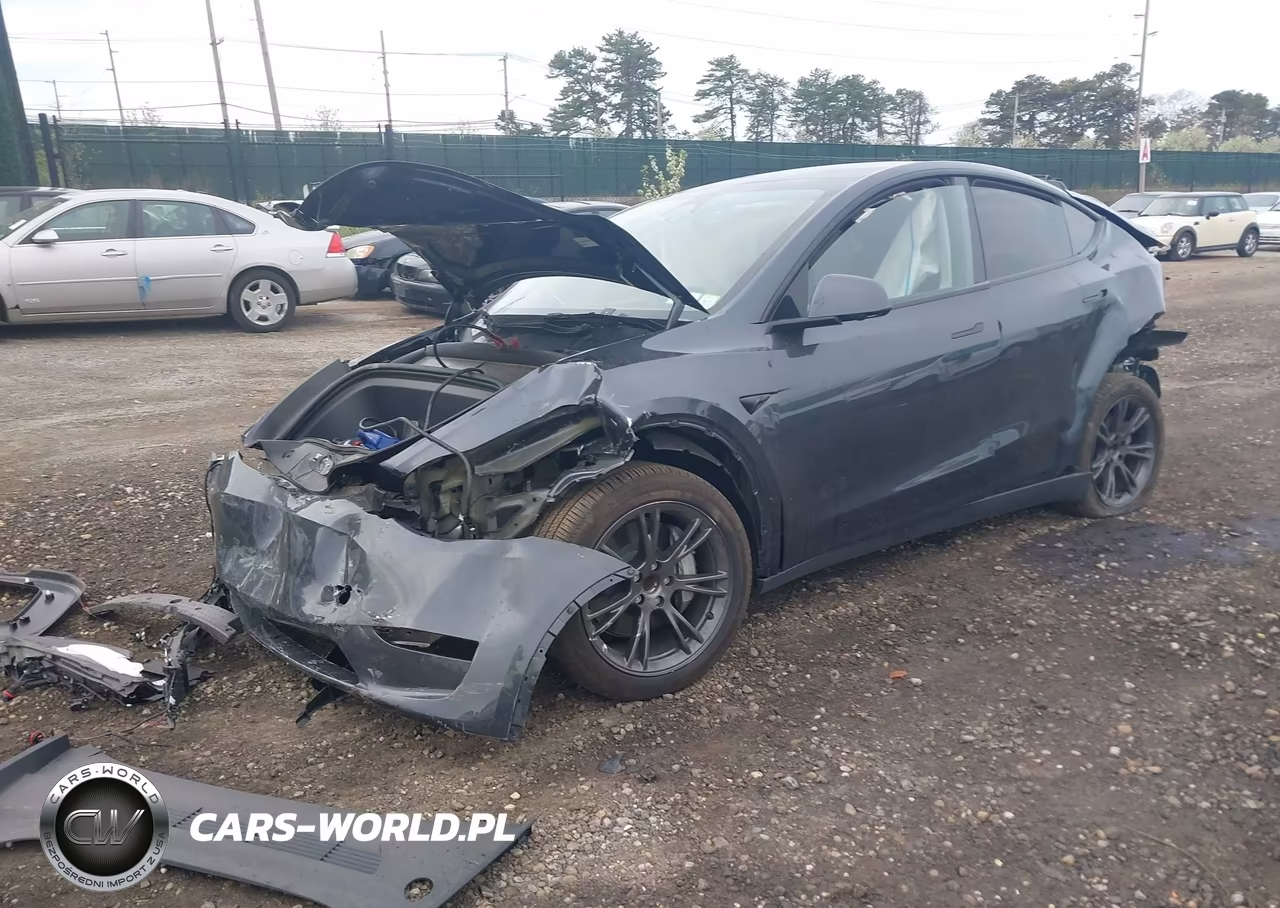 2025 Tesla Model Y Long Range Dual Motor Rear-Wheel Drive VIN:7SAYGDED8SA369646 - 2