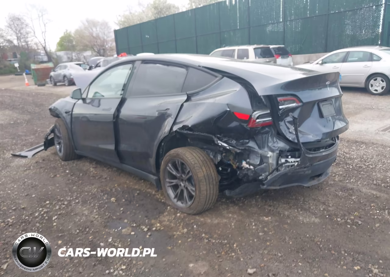 2025 Tesla Model Y Long Range Dual Motor Rear-Wheel Drive VIN:7SAYGDED8SA369646 - 3