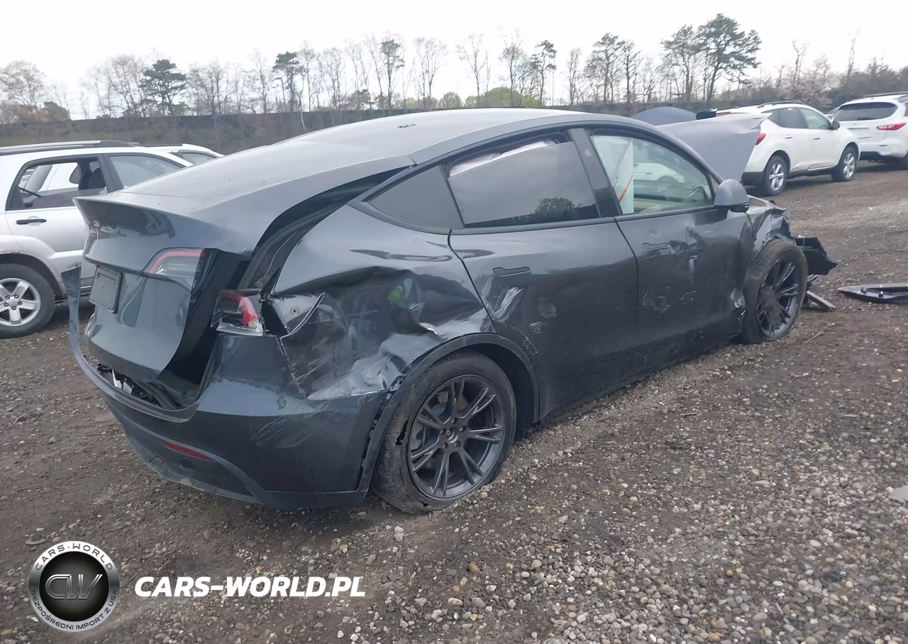 2025 Tesla Model Y Long Range Dual Motor Rear-Wheel Drive VIN:7SAYGDED8SA369646 - 4