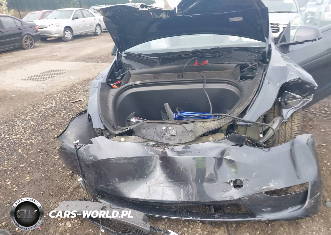 2025 Tesla Model Y Long Range Dual Motor Rear-Wheel Drive VIN:7SAYGDED8SA369646 - 6