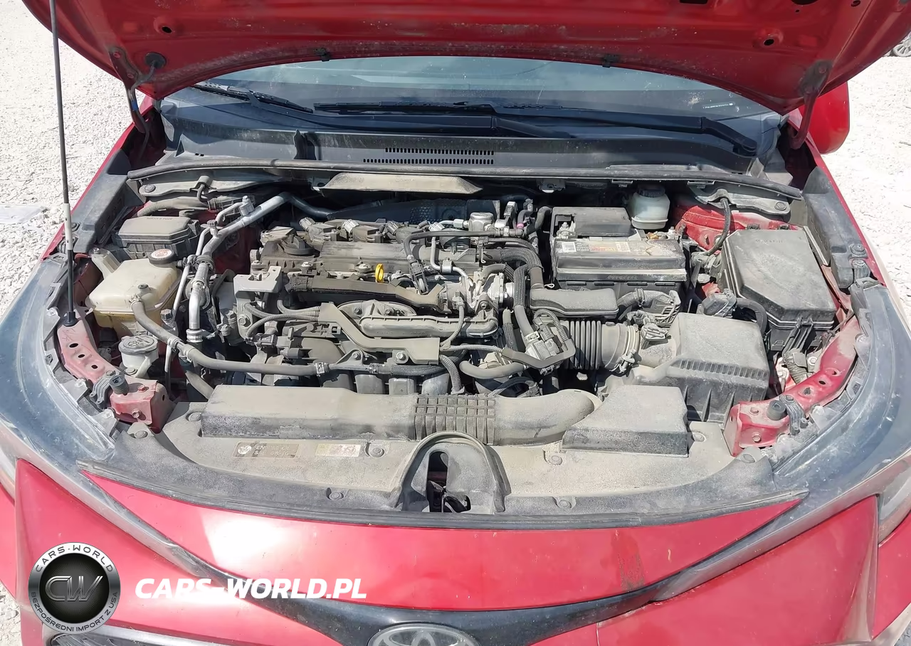 2019 Toyota Corolla Se VIN:JTNK4RBE8K3009276 - 10