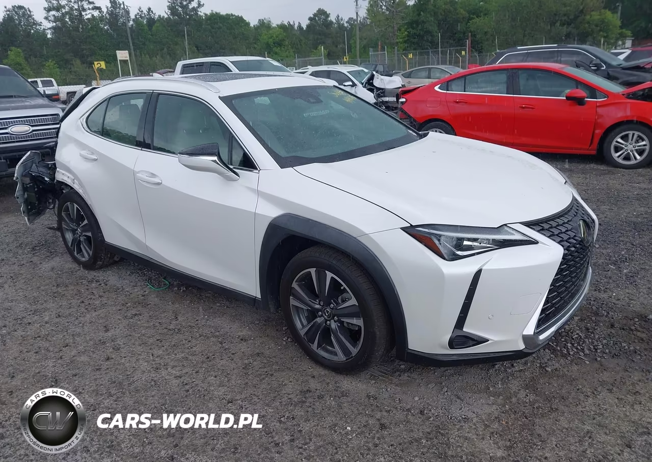 2019 Lexus Ux 200