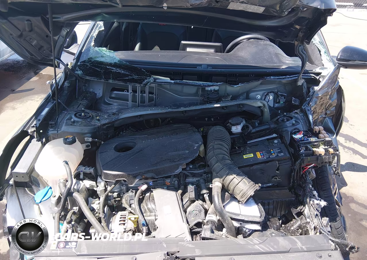 2023 Kia Forte Gt VIN:3KPF44AC0PE676318 - 10