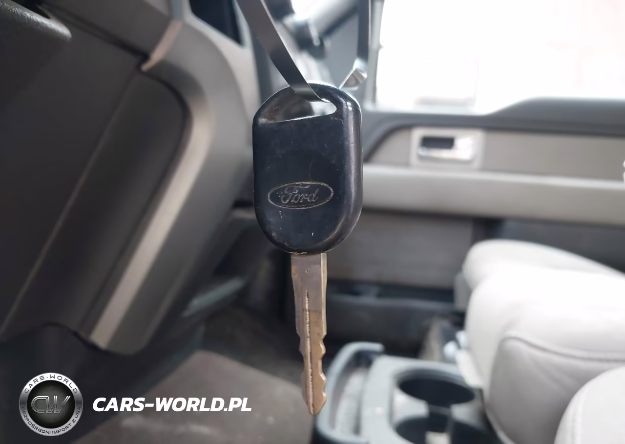 2010 Ford F-150 Fx4-Harley-Davidson-King Ranch-Lariat-Platinum-Xl-Xlt VIN:1FTFW1EV7AFB88176 - 11