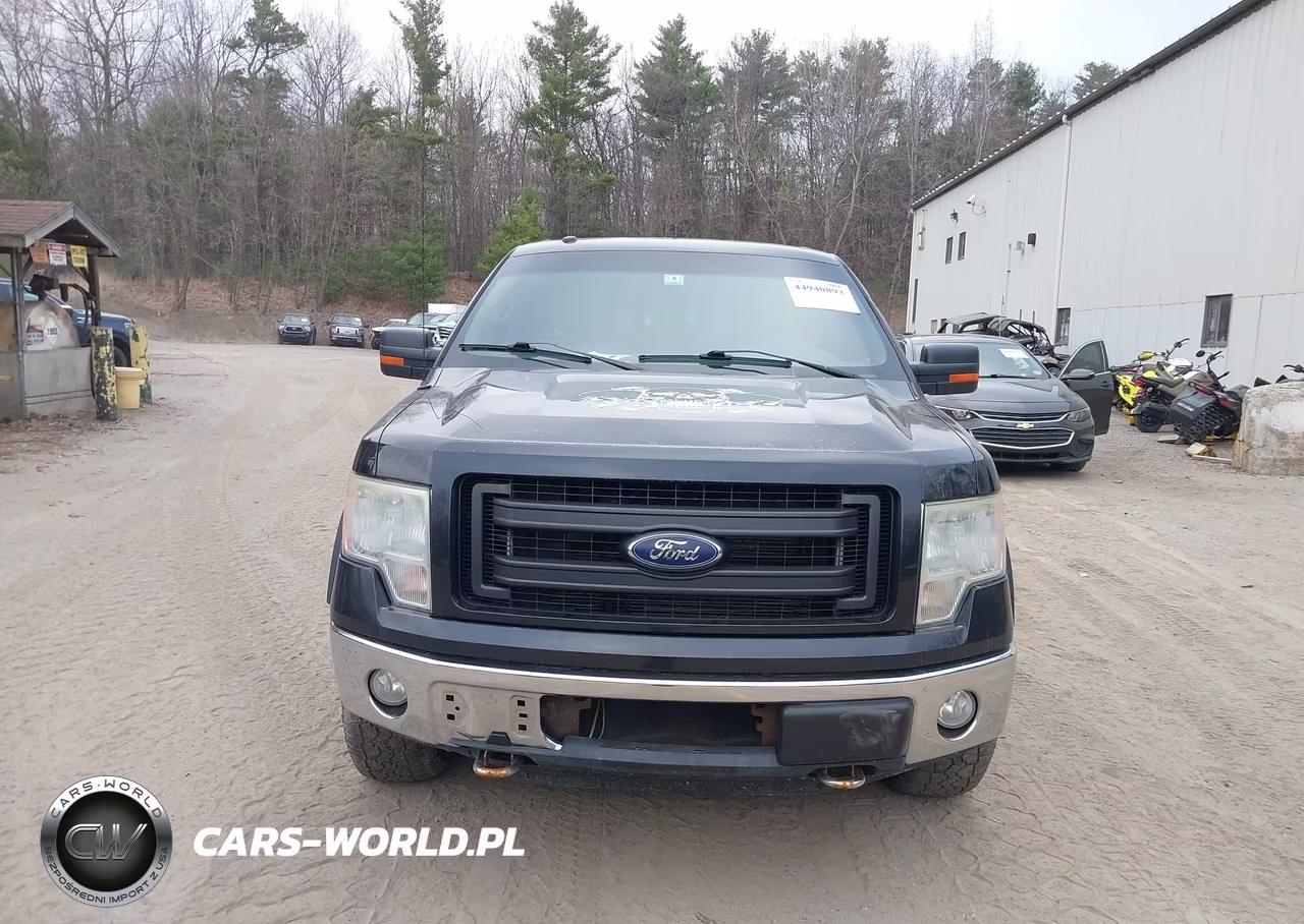 2010 Ford F-150 Fx4-Harley-Davidson-King Ranch-Lariat-Platinum-Xl-Xlt VIN:1FTFW1EV7AFB88176 - 12