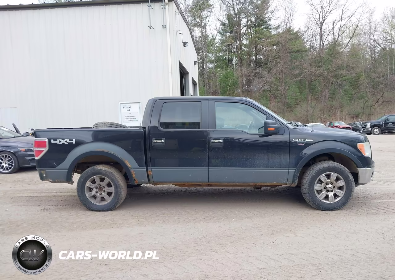 2010 Ford F-150 Fx4-Harley-Davidson-King Ranch-Lariat-Platinum-Xl-Xlt VIN:1FTFW1EV7AFB88176 - 13