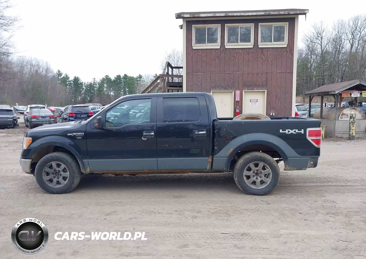 2010 Ford F-150 Fx4-Harley-Davidson-King Ranch-Lariat-Platinum-Xl-Xlt VIN:1FTFW1EV7AFB88176 - 14