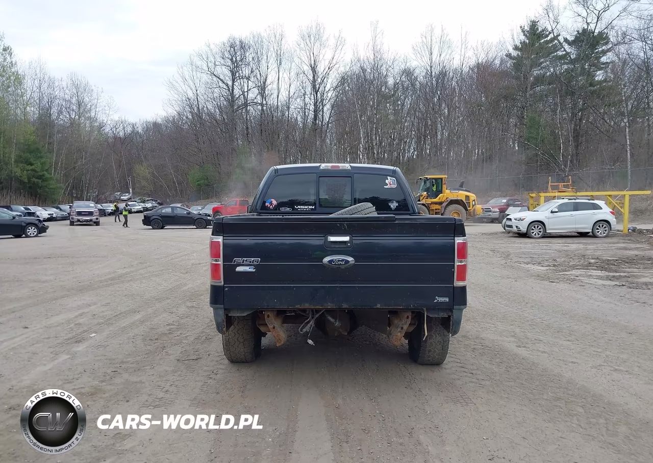 2010 Ford F-150 Fx4-Harley-Davidson-King Ranch-Lariat-Platinum-Xl-Xlt VIN:1FTFW1EV7AFB88176 - 16