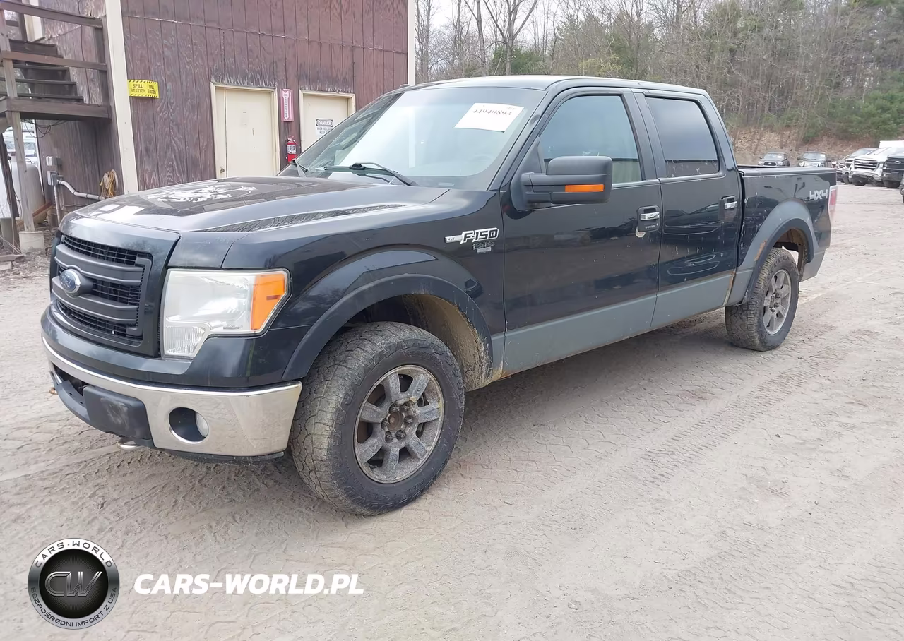 2010 Ford F-150 Fx4-Harley-Davidson-King Ranch-Lariat-Platinum-Xl-Xlt VIN:1FTFW1EV7AFB88176 - 2