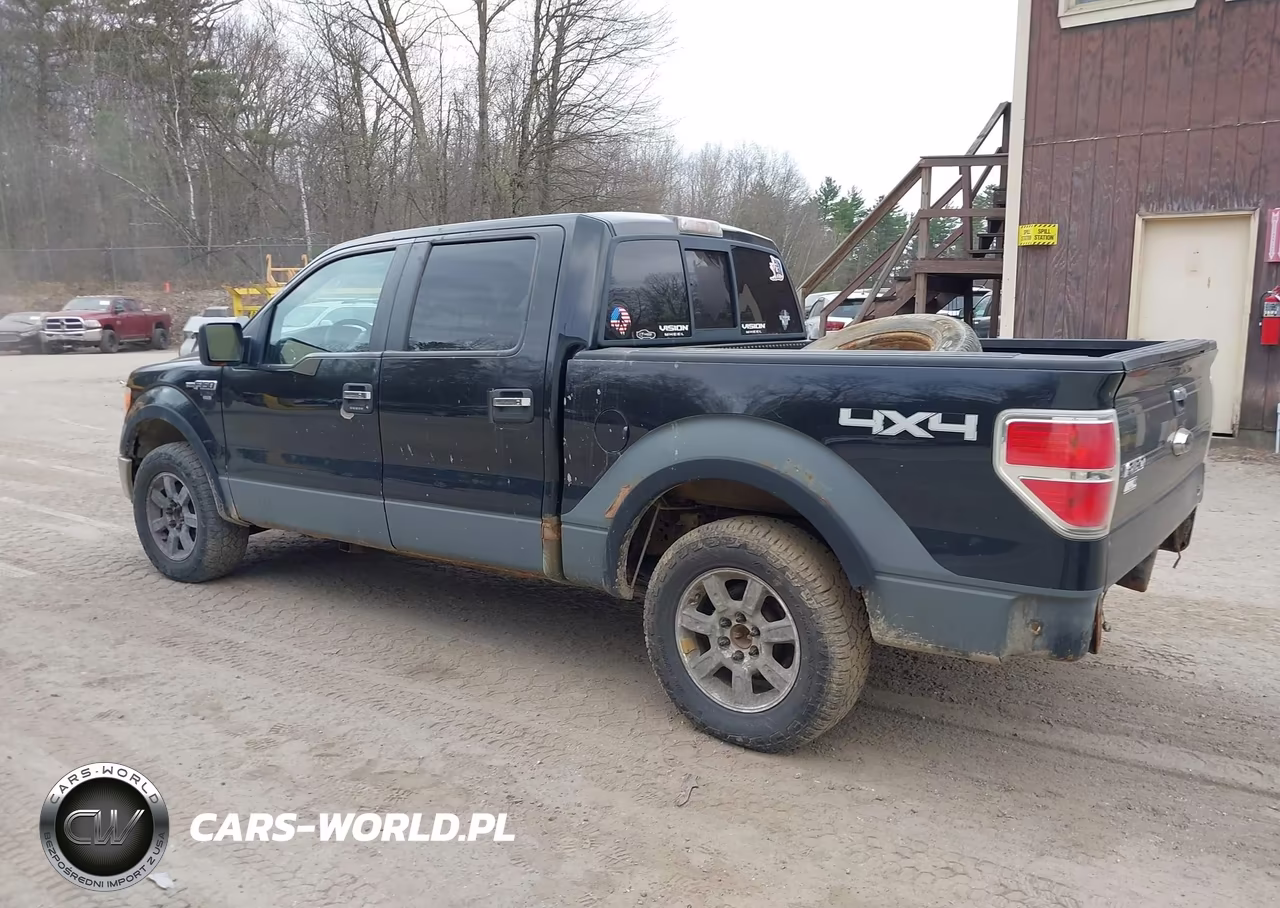 2010 Ford F-150 Fx4-Harley-Davidson-King Ranch-Lariat-Platinum-Xl-Xlt VIN:1FTFW1EV7AFB88176 - 3