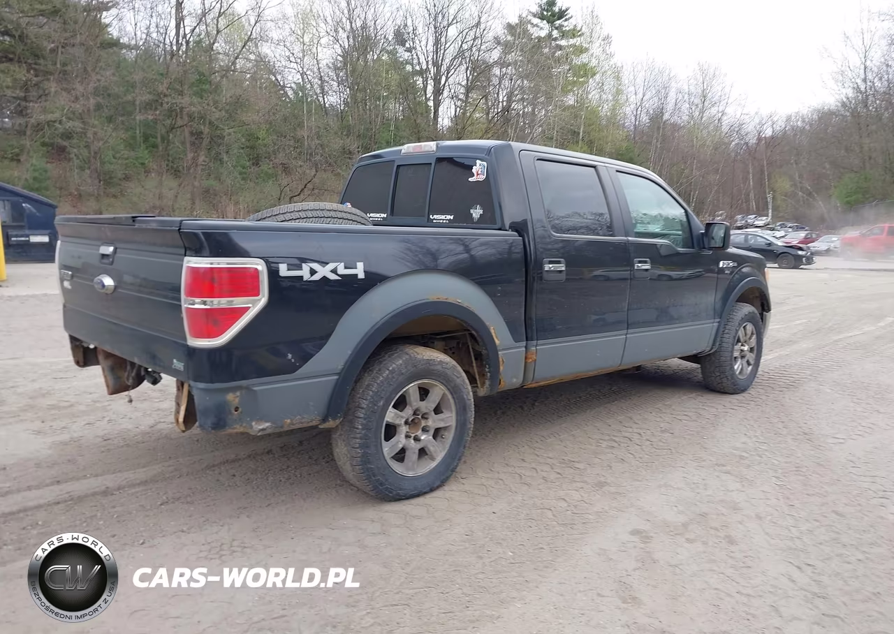 2010 Ford F-150 Fx4-Harley-Davidson-King Ranch-Lariat-Platinum-Xl-Xlt VIN:1FTFW1EV7AFB88176 - 4