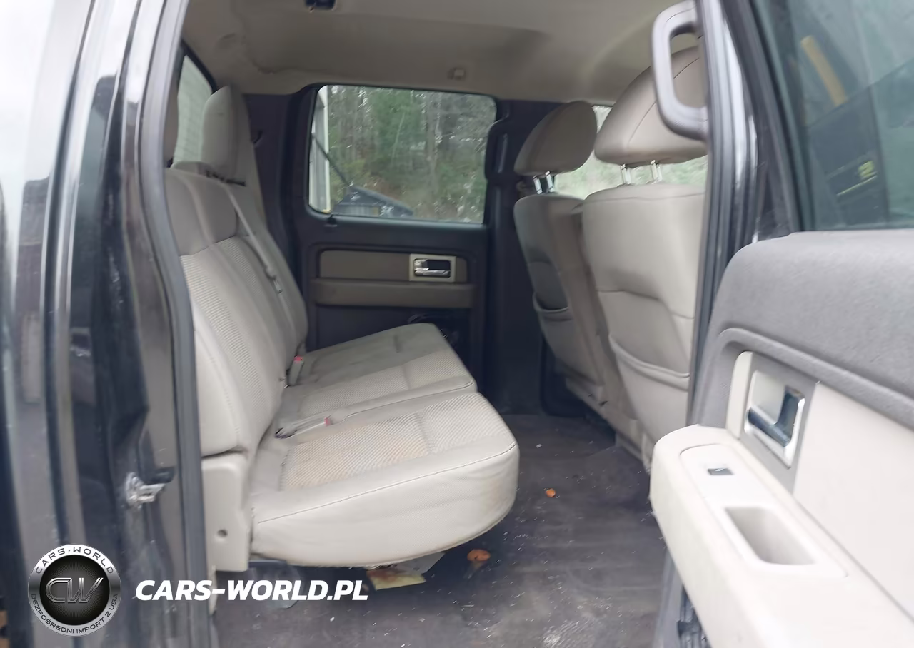 2010 Ford F-150 Fx4-Harley-Davidson-King Ranch-Lariat-Platinum-Xl-Xlt VIN:1FTFW1EV7AFB88176 - 8