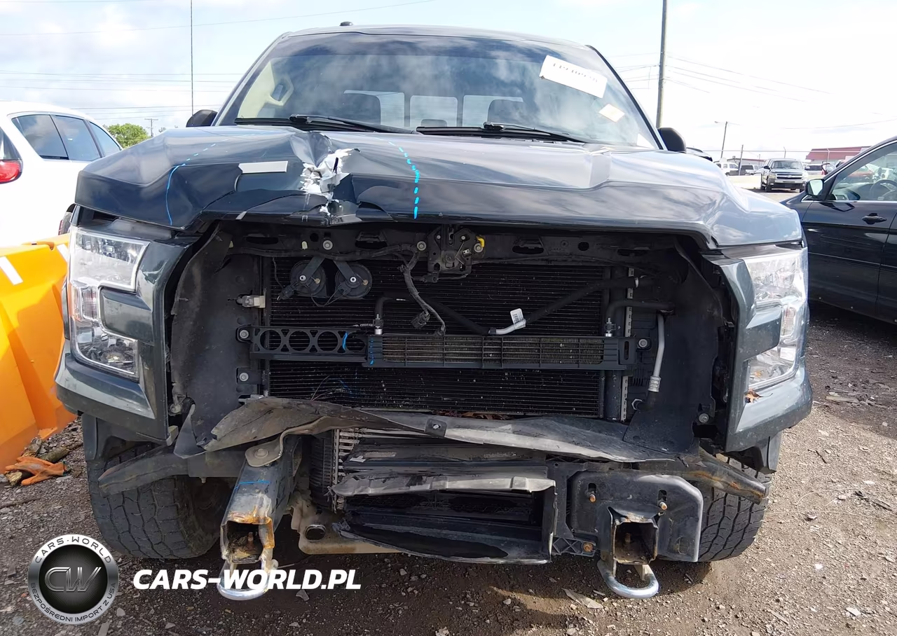 2015 Ford F-150 Xlt VIN:1FTEW1EP7FKD58743 - 13