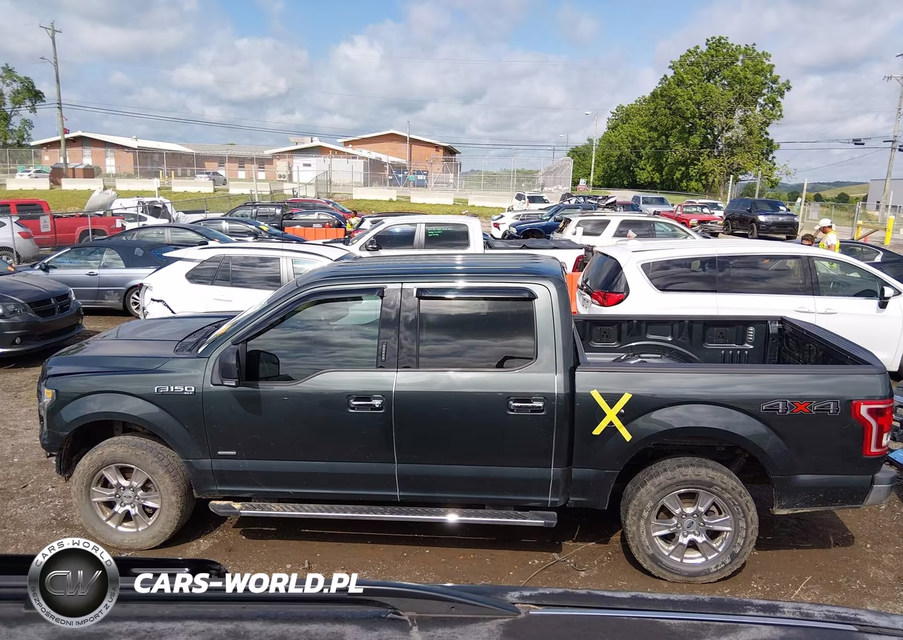 2015 Ford F-150 Xlt VIN:1FTEW1EP7FKD58743 - 15