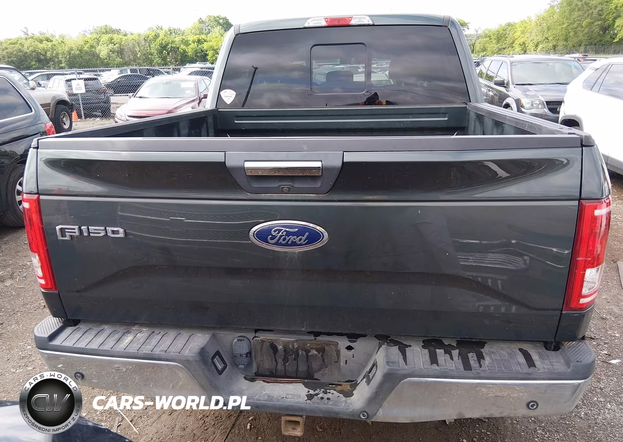 2015 Ford F-150 Xlt VIN:1FTEW1EP7FKD58743 - 17