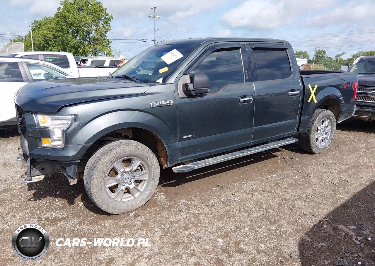 2015 Ford F-150 Xlt VIN:1FTEW1EP7FKD58743 - 2