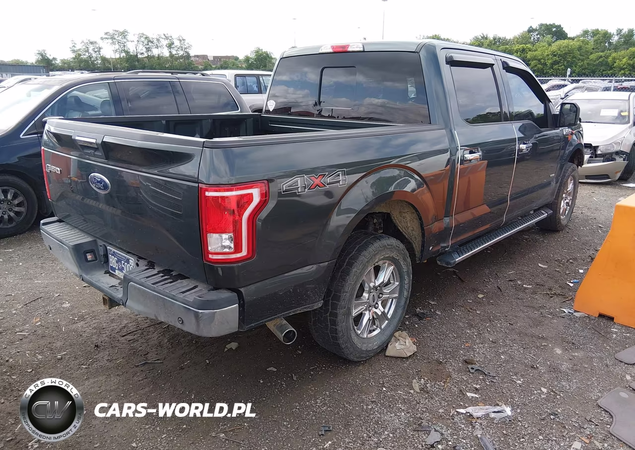 2015 Ford F-150 Xlt VIN:1FTEW1EP7FKD58743 - 4