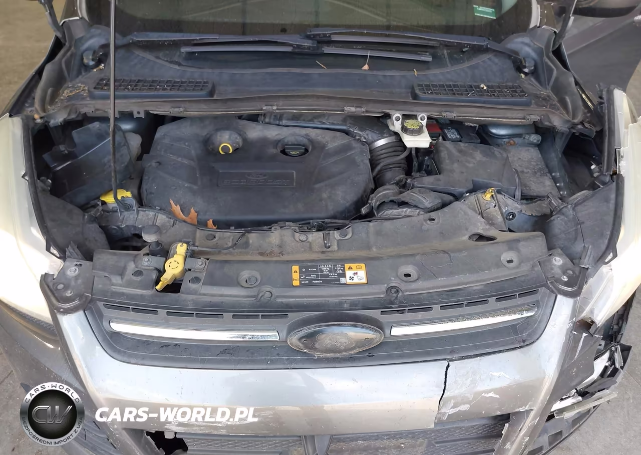 2014 Ford Escape Se VIN:1FMCU9G94EUD45831 - 10