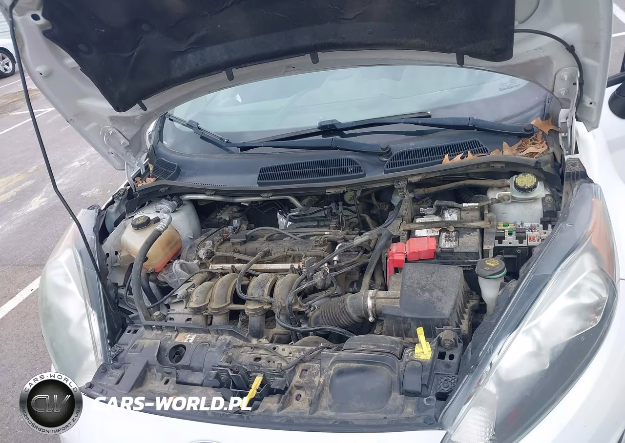 2016 Ford Fiesta Se VIN:3FADP4EJ6GM174772 - 10
