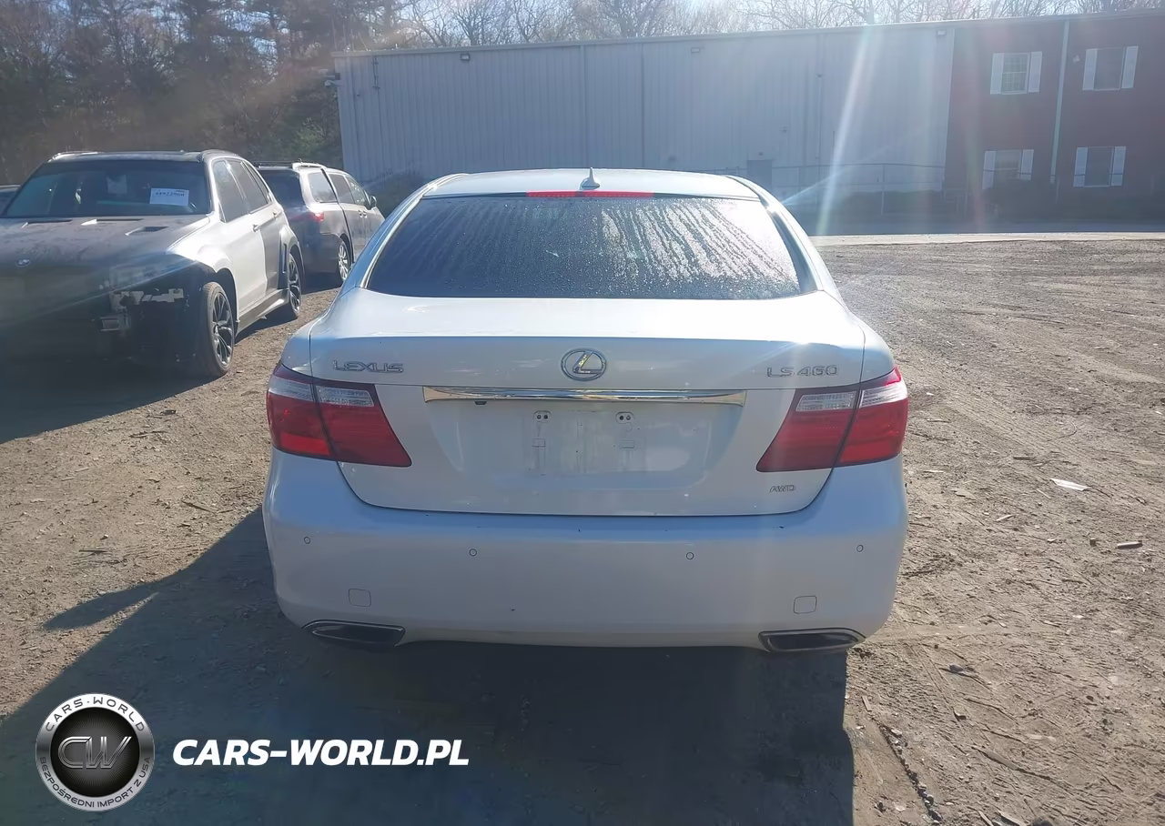 2009 Lexus Ls 460 VIN:JTHCL46F895003203 - 16
