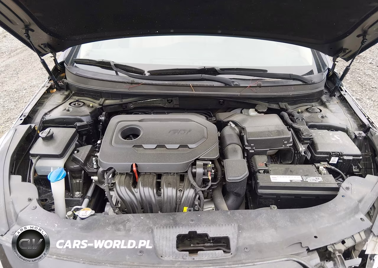 2015 Hyundai Sonata Se VIN:5NPE24AF9FH226785 - 10