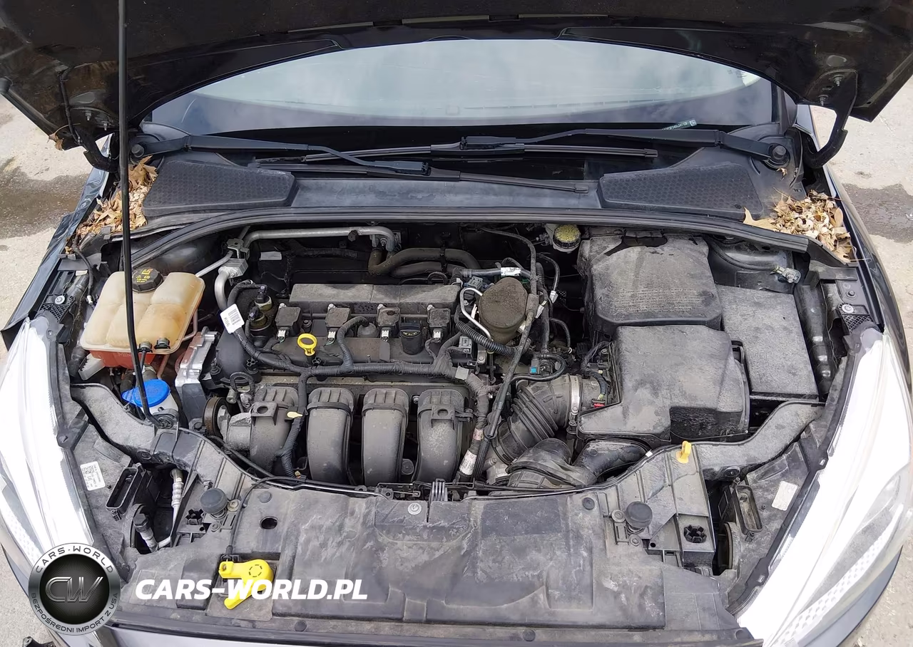 2016 Ford Focus Se VIN:1FADP3F24GL241128 - 10