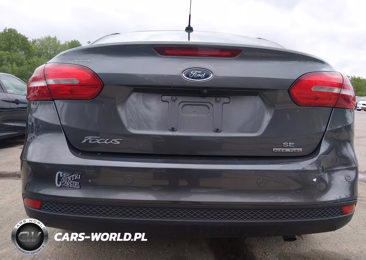 2016 Ford Focus Se VIN:1FADP3F24GL241128 - 18
