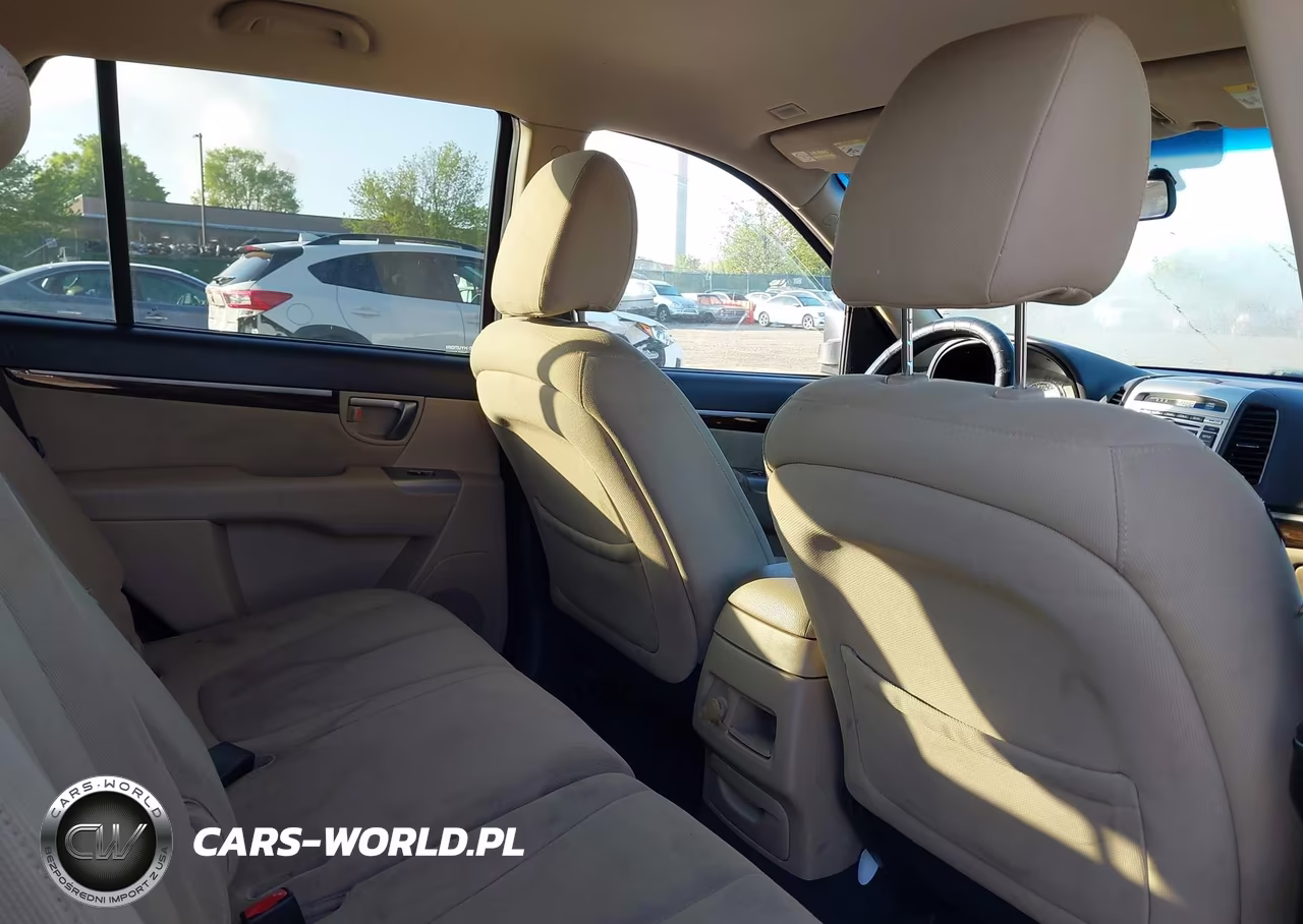 2010 Hyundai Santa Fe Gls VIN:5NMSG3AB7AH377920 - 8