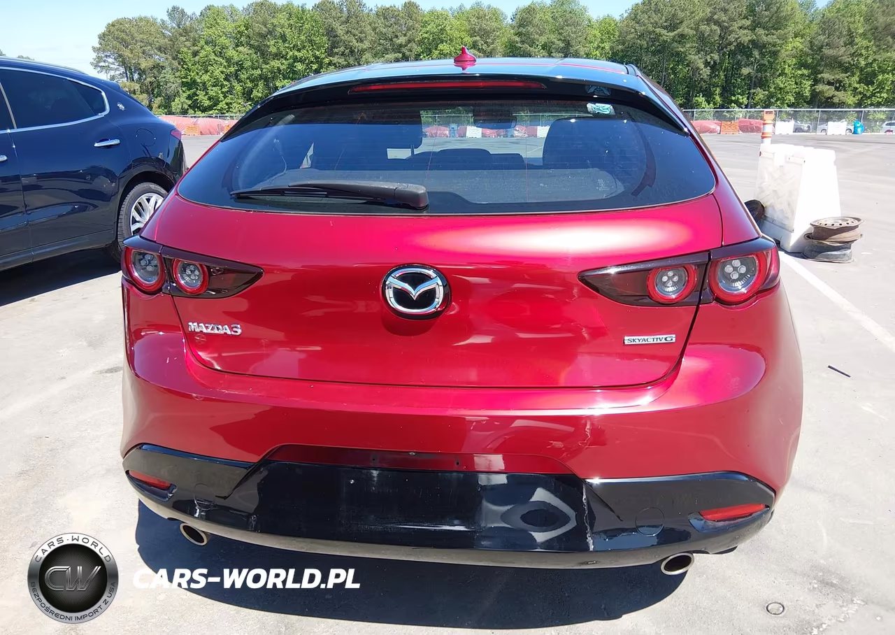 2019 Mazda Mazda3 Preferred Package VIN:JM1BPAMM0K1138576 - 16