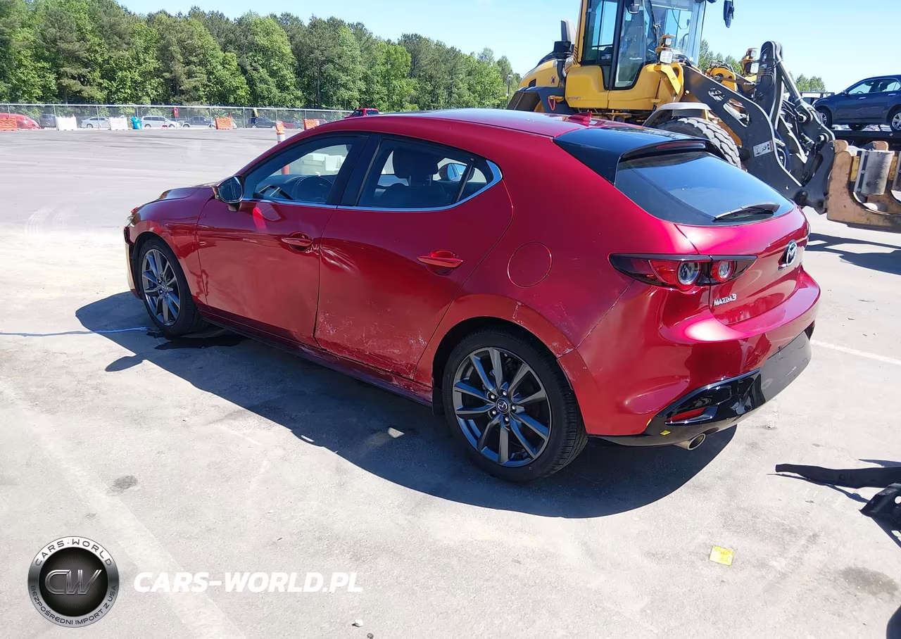 2019 Mazda Mazda3 Preferred Package VIN:JM1BPAMM0K1138576 - 3