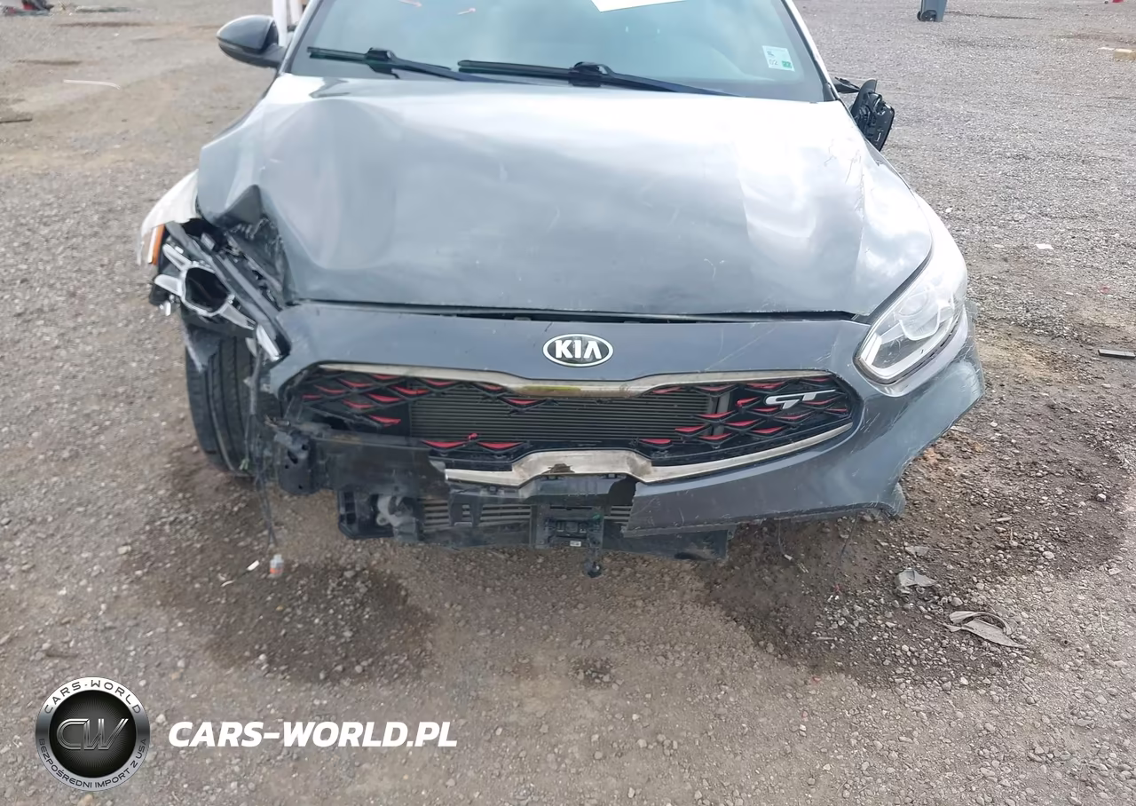 2021 Kia Forte Gt VIN:3KPF44AC2ME356008 - 6