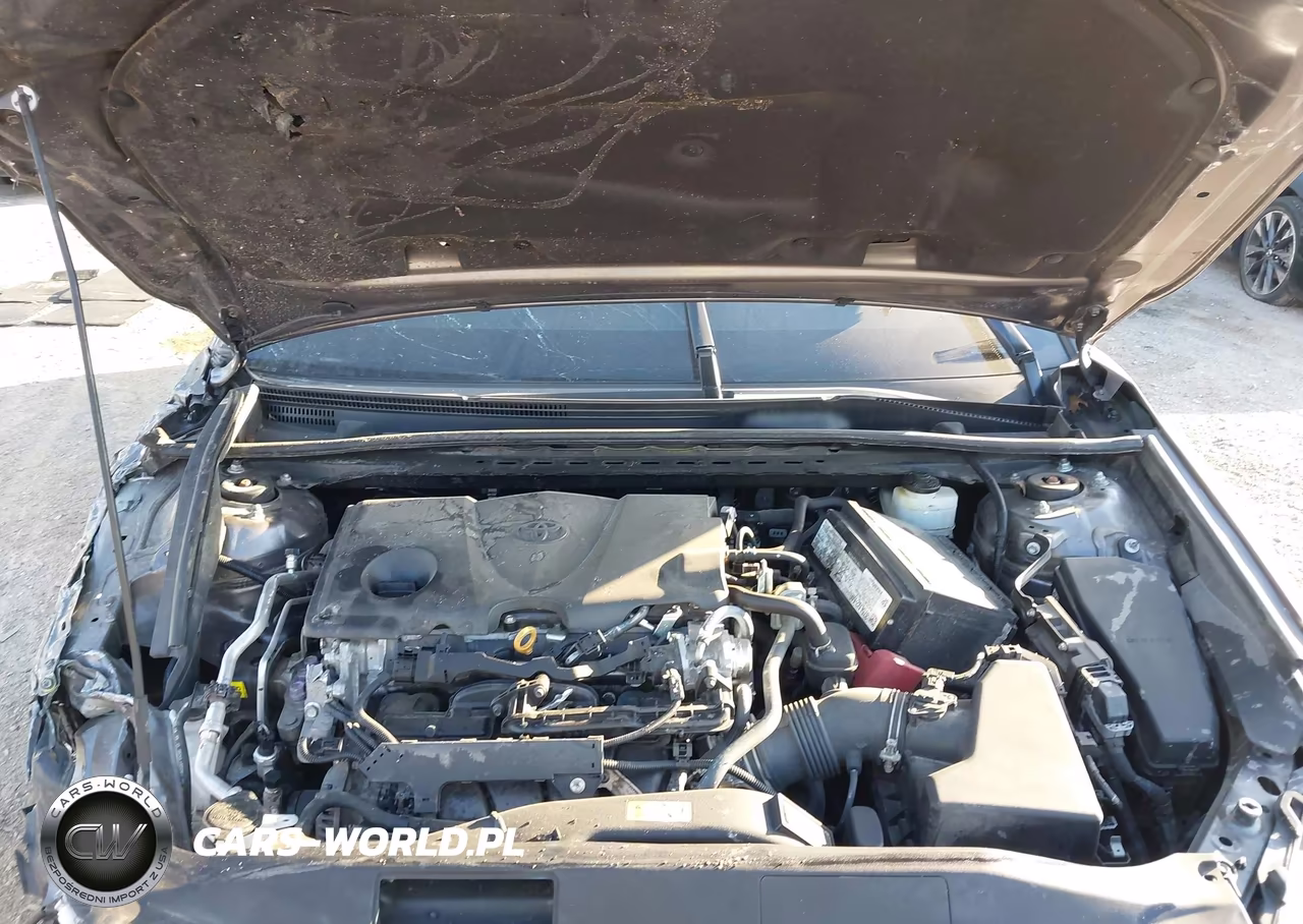 2023 Toyota Camry Le VIN:4T1C11AK0PU115213 - 10