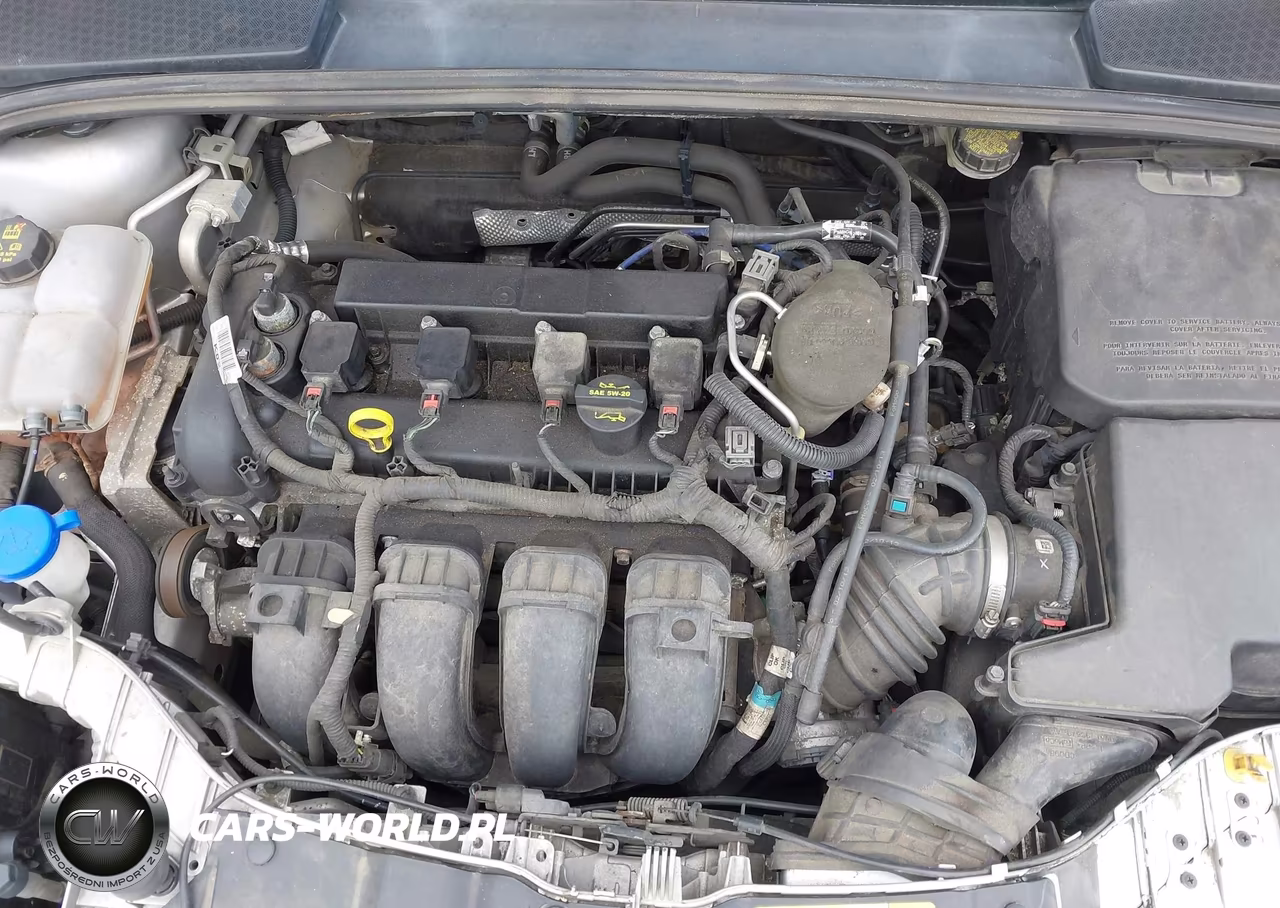 2014 Ford Focus Titanium VIN:1FADP3N27EL189511 - 10