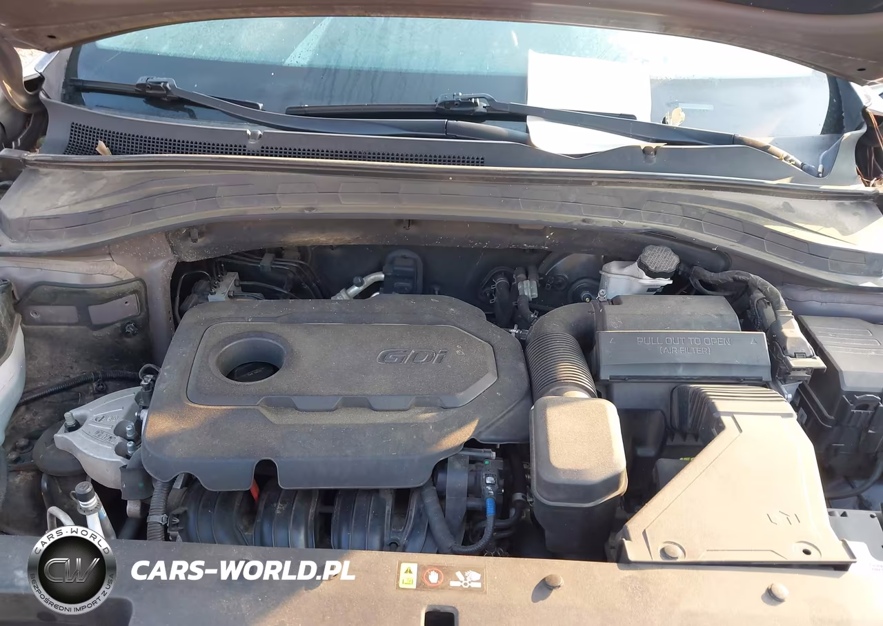 2020 Hyundai Santa Fe Sel VIN:5NMS33AD4LH200239 - 10