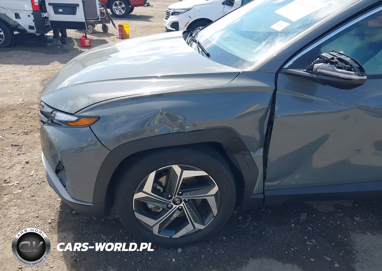 2024 Hyundai Tucson Sel VIN:5NMJF3DE1RH375032 - 19